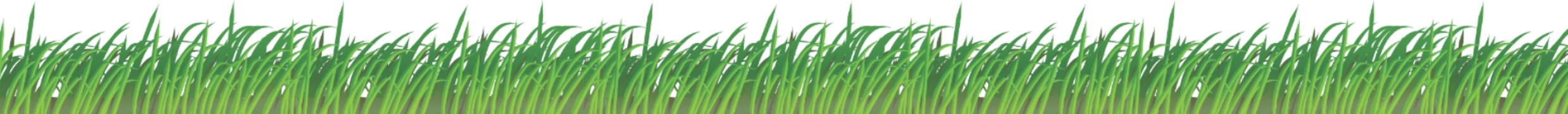 grass 3