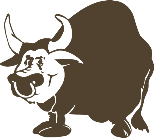 bull